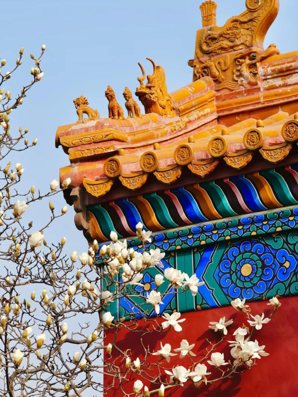 Happy Dragon Courtyard- Newly Renovated With French Windows, Near Tian'Anmen Forbidden City,Lama Temple And Heaven Temple, 3Minutes Walk From Subway,Fluent English Speaking With Tourist Sights Tickets Service ,Free Coffee &Laundry Service Пекин Екстериор снимка